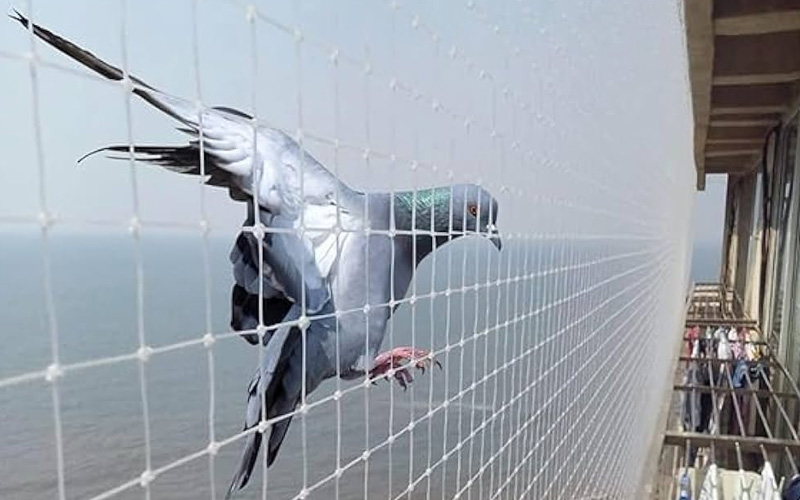 Anti Bird Net